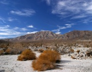 LSW photo149