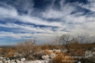 LSW photo150