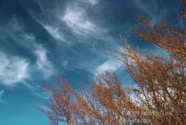 LSW photo151