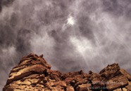 LSW photo153