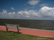 LSW photo155