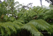 LSW photo166
