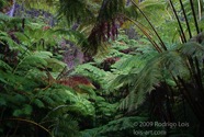 LSW photo167