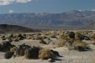 LSW photo169