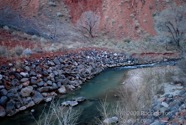 LSW photo170