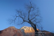 LSW photo171