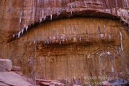 LSW photo172