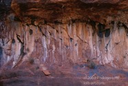 LSW photo173