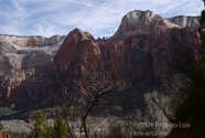 LSW photo174