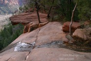 LSW photo176