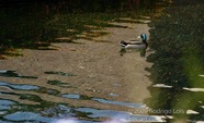 LSW photo178