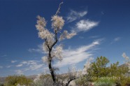 LSW photo179