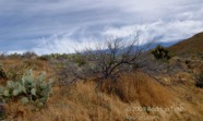 LSW photo180