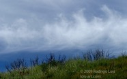LSW photo181