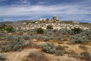 LSW photo182