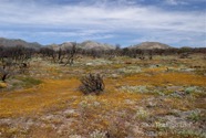 LSW photo184