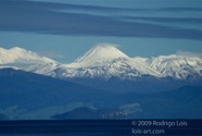 LSW photo188