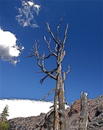 LSW photo189