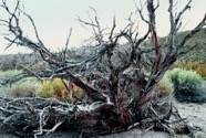 LSW photo191