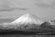 LSW photo194
