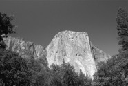 LSW photo198