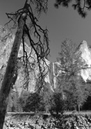 LSW photo199
