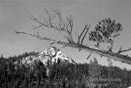 LSW photo200