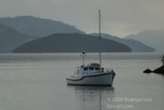 LSW photo202