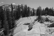LSW photo203