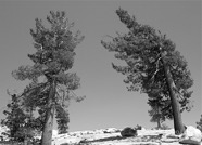 LSW photo204