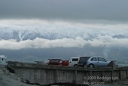 LSW photo206