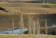 LSW photo207