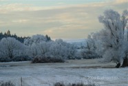 LSW photo208