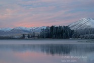 LSW photo209