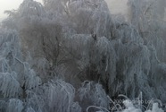 LSW photo210