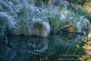 LSW photo212