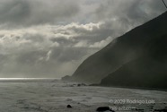 LSW photo214