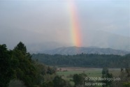 LSW photo216