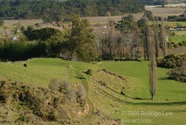 LSW photo217