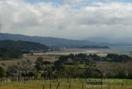 LSW photo218