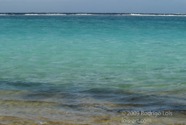 LSW photo219
