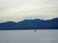 LSW photo220