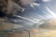LSW photo221