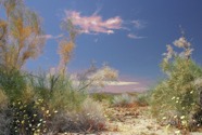 LSW photo222
