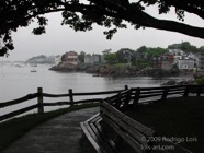 LSW photo225
