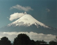 LSW photo226