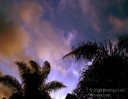 LSW photo227