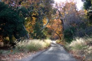 LSW photo231