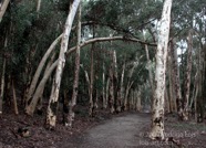 LSW photo233