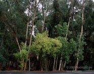 LSW photo234
